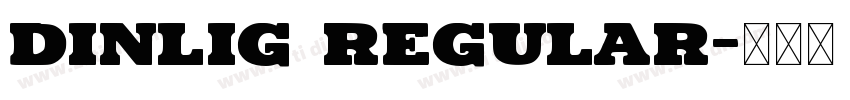 Dinlig Regular字体转换